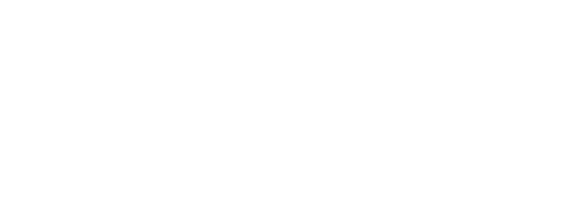 Save The Cat Productions